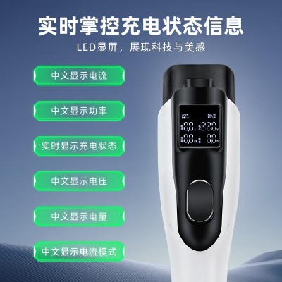 新能源汽车充电枪桩器电动汽车比亚迪便携随车充3.5kw 1个图5