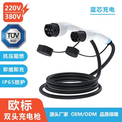 跨境专供欧标充电枪头、充电桩延长线、充电枪线、充电枪头外壳 1条