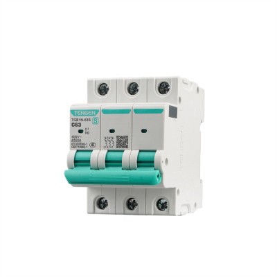 TENGEN天正TGB1N-63S空气开关1P2P3P4P空开断路器3 2A家用63A电闸图5