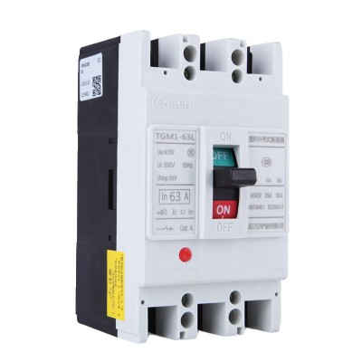 TENGEN天正 TGM1-63L/33002 63A塑壳断路器电动机 保护开关动力型图5