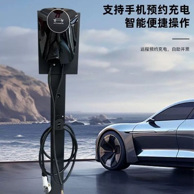 新能源汽车充电桩充电器家用挂壁式立柱式商用小程序7KW通用车型 1台图3