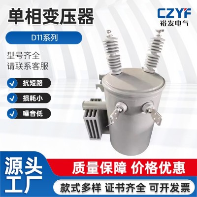 单相变压器D11型圆桶变压器出口低压输出可调节油浸式变压器厂家