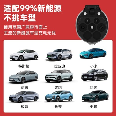 比亚迪充电枪新能源电动汽车快充250V国标通用原车充电桩图4