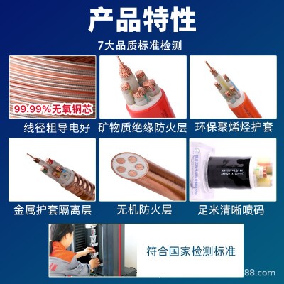 厂家批发柔性矿物防火电缆NG-A 2/3/45芯25 95 240平方铜芯电缆线 1米图3