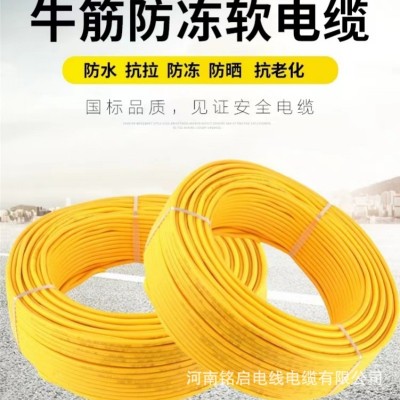 牛筋防冻软电缆2芯1.5 2.5平方纯铜户外家用充电延长线两芯黄电缆 1卷图2
