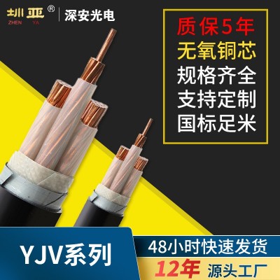 ZR-YJV国标铜芯铠装低压阻燃电线电缆WDZ-YJV220.6 /1KVYJV22 10米图2