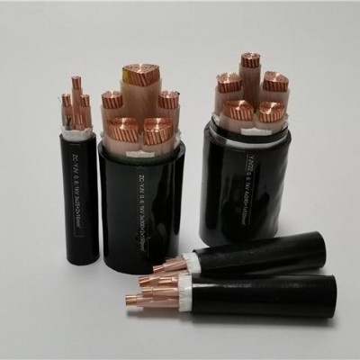 ZR-YJV国标铜芯铠装低压阻燃电线电缆WDZ-YJV220.6 /1KVYJV22 10米