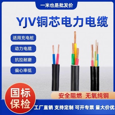 YJV电缆线国标铜芯2.5 4 6 10平方2/3/4/5芯三相四电线充电桩户外 10米