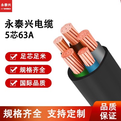 光伏电缆电动车汽车充电桩电线新能源绝缘应急电源户外电瓶车 1m图2