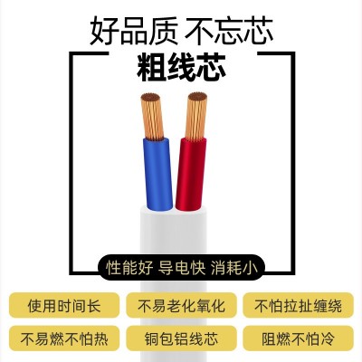 国标RVVB扁形护套线2芯1.5/2.5/4/6平方平行线户外照明阻燃电源线 1卷图2