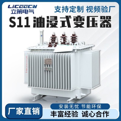 S11-250/630kva油浸式变压器10kv铜铝户外柱上高压三相电力变压器