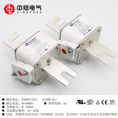 西安中熔RS306-2-W1Z 690V低压储能熔断器保险丝汽车快速熔断器 1PCS图2