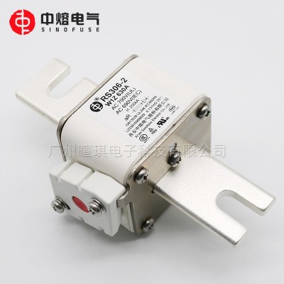 西安中熔RS306-2-W1Z 690V低压储能熔断器保险丝汽车快速熔断器 1PCS图5