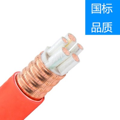 BTTZ防火电缆YTTW NG-A(BTLY) RTTZ BBTRZ BTTRZ 矿物绝缘防火电缆图2