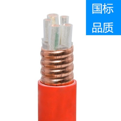 BTTZ防火电缆YTTW NG-A(BTLY) RTTZ BBTRZ BTTRZ 矿物绝缘防火电缆图3