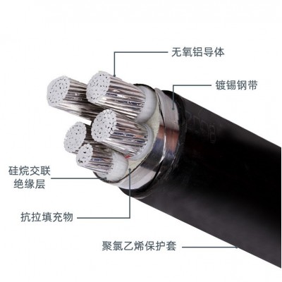 国标铝芯电缆YJLV 22架空三相四线2 4 3+1芯 25 35 70 95 平方电缆图4