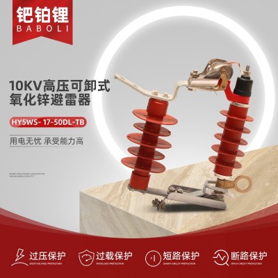 定制10KV高压可卸式氧化锌避雷器 HY5WS-17-50DL-TB 跌落式避雷器