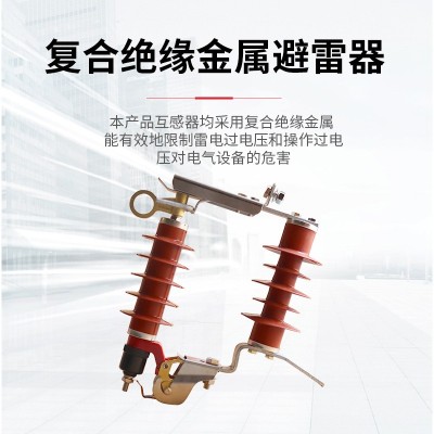 鸿秀跌落式避雷器HY5WS-17/50DL氧化锌避雷器组合熔断器图2