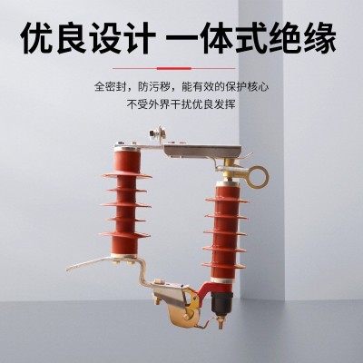 鸿秀跌落式避雷器HY5WS-17/50DL氧化锌避雷器组合熔断器图3
