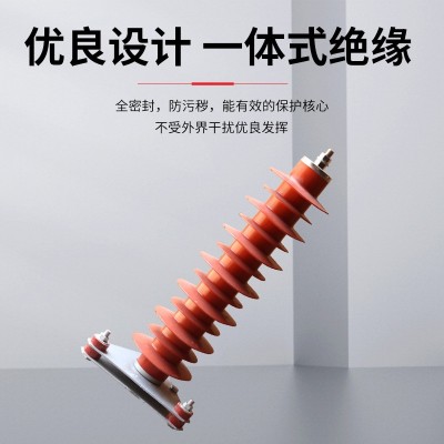 鸿秀35KV避雷器 YH5WZ-51/134高压氧化锌避雷器 电站型绝缘 硅橡胶图4