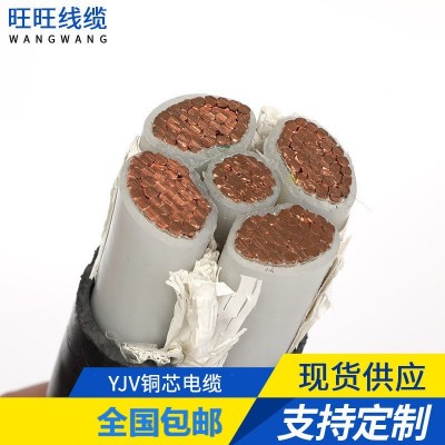 YJV电缆2芯铜芯电缆国标240平方yjv22-3*70铠装铜电缆电力电缆