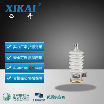 厂家现货供应西亚Y5WZ-17/45 Y5WZ-12.7/45陶瓷金属氧化锌避雷器图2