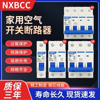空气开关DZ47-63A空开保护器1P2P3P4P32A断路器16A10A40A防漏电