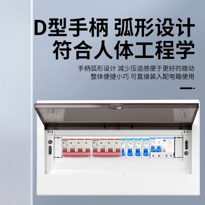 家用漏电保护器空气开关小型断路器DZ47LE2P32A63A总电闸开关 100A