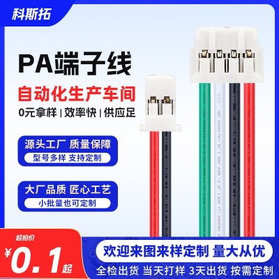 PA2.0间距端子线汽车锂电池带扣连接线排线连接器线接头带扣快接