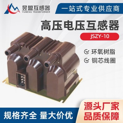 JSZY-10 6R系列电压互感器背包三炮筒高压电压互感器 带熔断器图2