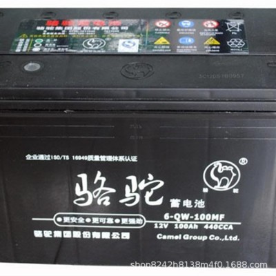 骆驼6-QW-120MF电瓶工程机械车免维护蓄电池12V120AH启动蓄电池图3