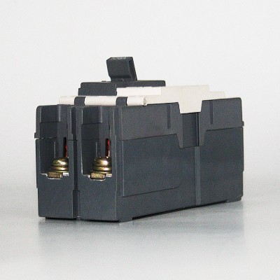 生产2P塑壳式断路器100A80A高品质ABE款东南亚市场紫铜交直流通用图2