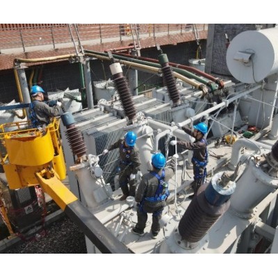 （主变）220kV电力变压器