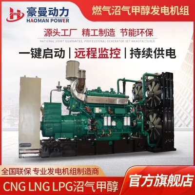 养殖场用500KW沼气发电机组50HZ380V三相电500千瓦天然气发 电机组图4