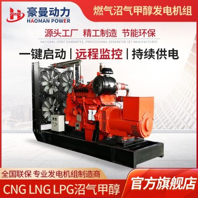 养殖场用500KW沼气发电机组50HZ380V三相电500千瓦天然气发 电机组