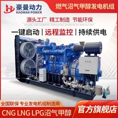 养殖场用500KW沼气发电机组50HZ380V三相电500千瓦天然气发 电机组图3