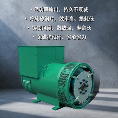 30kW康明斯LPG液化石油气发电机组天然气沼气燃气发电 机小型家用图2