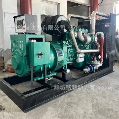 天然气沼气250kW燃气发电机组 垃圾填埋气可燃气体发电站出口机型图3