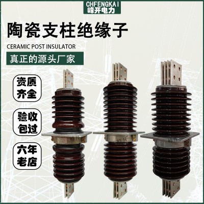 大电流预埋瓷瓶CWW-24/6000A高压穿墙套管CWW-35/630A 铜排绝缘子图3