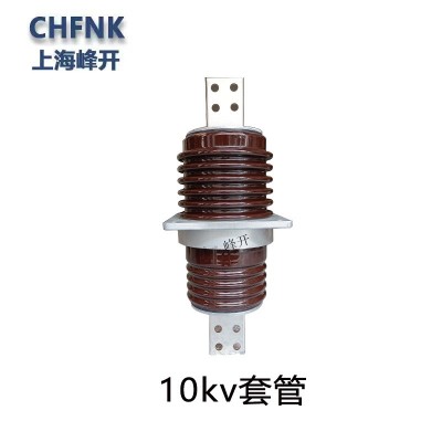 大电流预埋瓷瓶CWW-24/6000A高压穿墙套管CWW-35/630A 铜排绝缘子