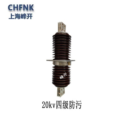 大电流预埋瓷瓶CWW-24/6000A高压穿墙套管CWW-35/630A 铜排绝缘子图4