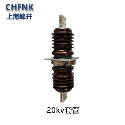 大电流预埋瓷瓶CWW-24/6000A高压穿墙套管CWW-35/630A 铜排绝缘子图2