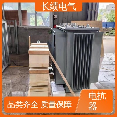 无功补偿 源头厂家 油浸式并联电抗器保护要求 专利产品 长绩电气