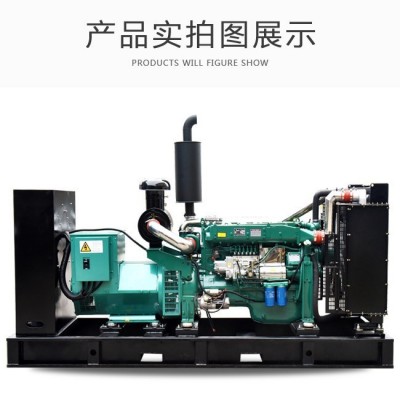 潍坊系列200kw柴油发电机组大型养殖场备用电源250千瓦无刷自动化