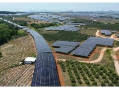 吉林省多用户绿电直连项目开发建设实施方案（试行）征求意见：项目呈上网特性时“报量报价”参与现货市场