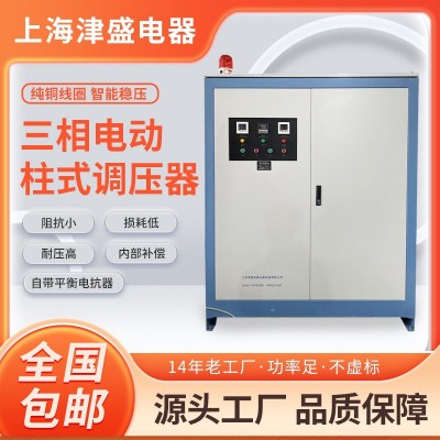 100KVA60KW单相三相电动柱式大功率调压器380v220v430v650v 调压器