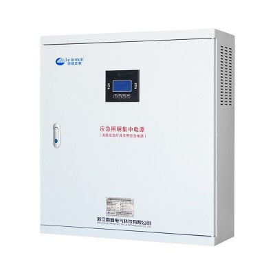 应急照明集中电源配电箱LM-D-·0.3KVA DC24V120分钟智能疏散指示