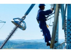执行40余年的这一电价制度实质性退出