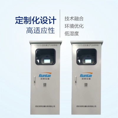 润莱仪器RL-607防爆沼气分析系统触摸式甲烷检测仪 220V电源